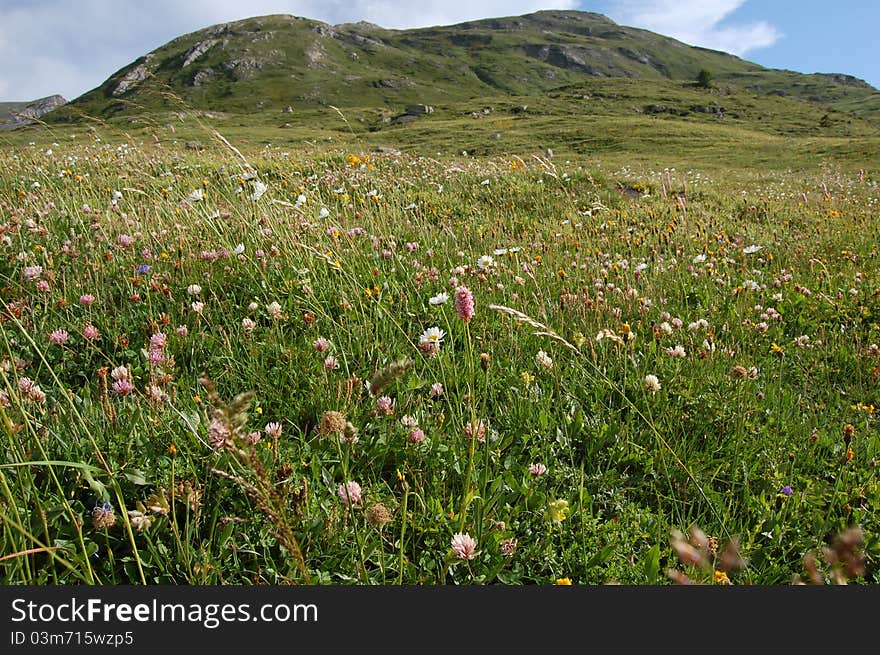 Hiking in Alps. Bramans area. Between France and Italie. Hiking in Alps. Bramans area. Between France and Italie.