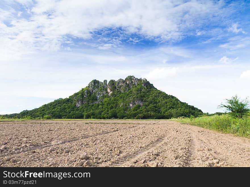 The Mountains And The Green Area.