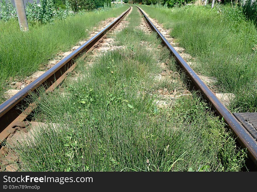 Railroad tracks with grass in Piedmont