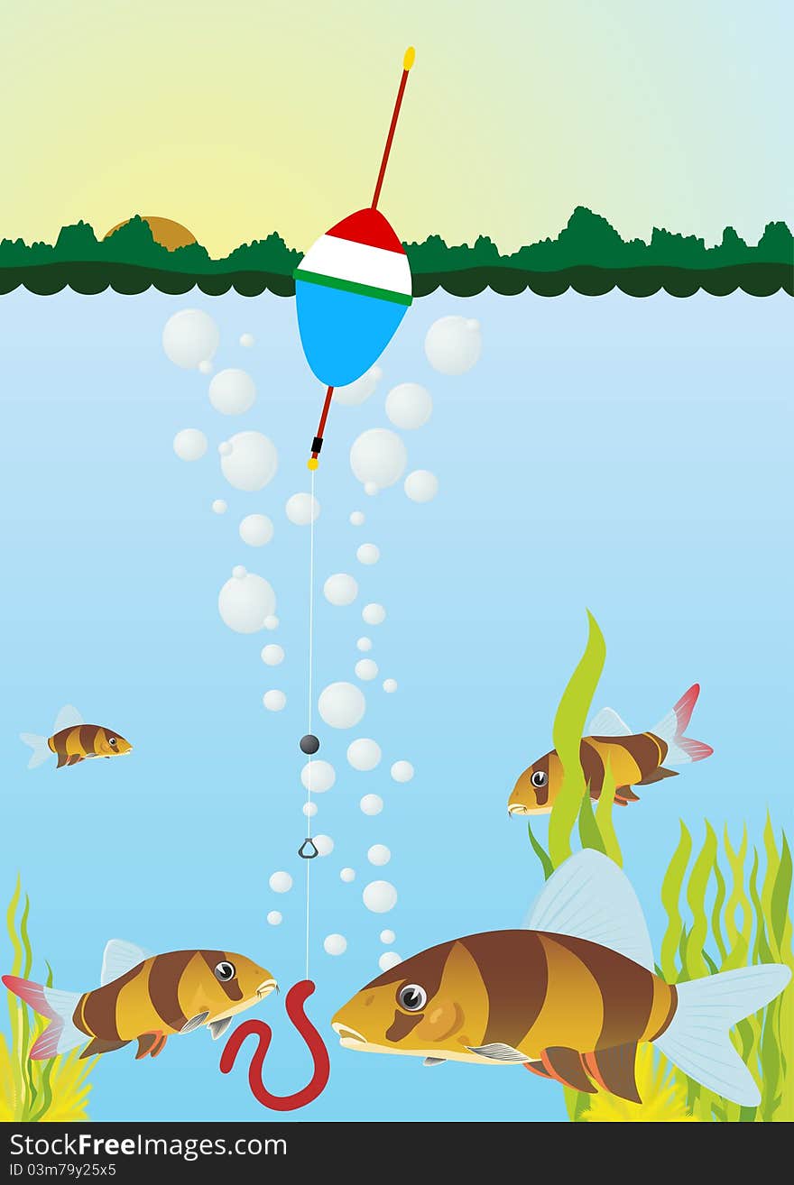 Float on the surface of the reservoir. Bait on a hook near the fish swim. Float on the surface of the reservoir. Bait on a hook near the fish swim