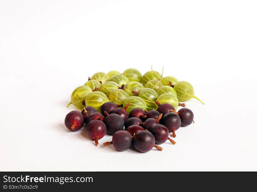 Green and darkly are red berries