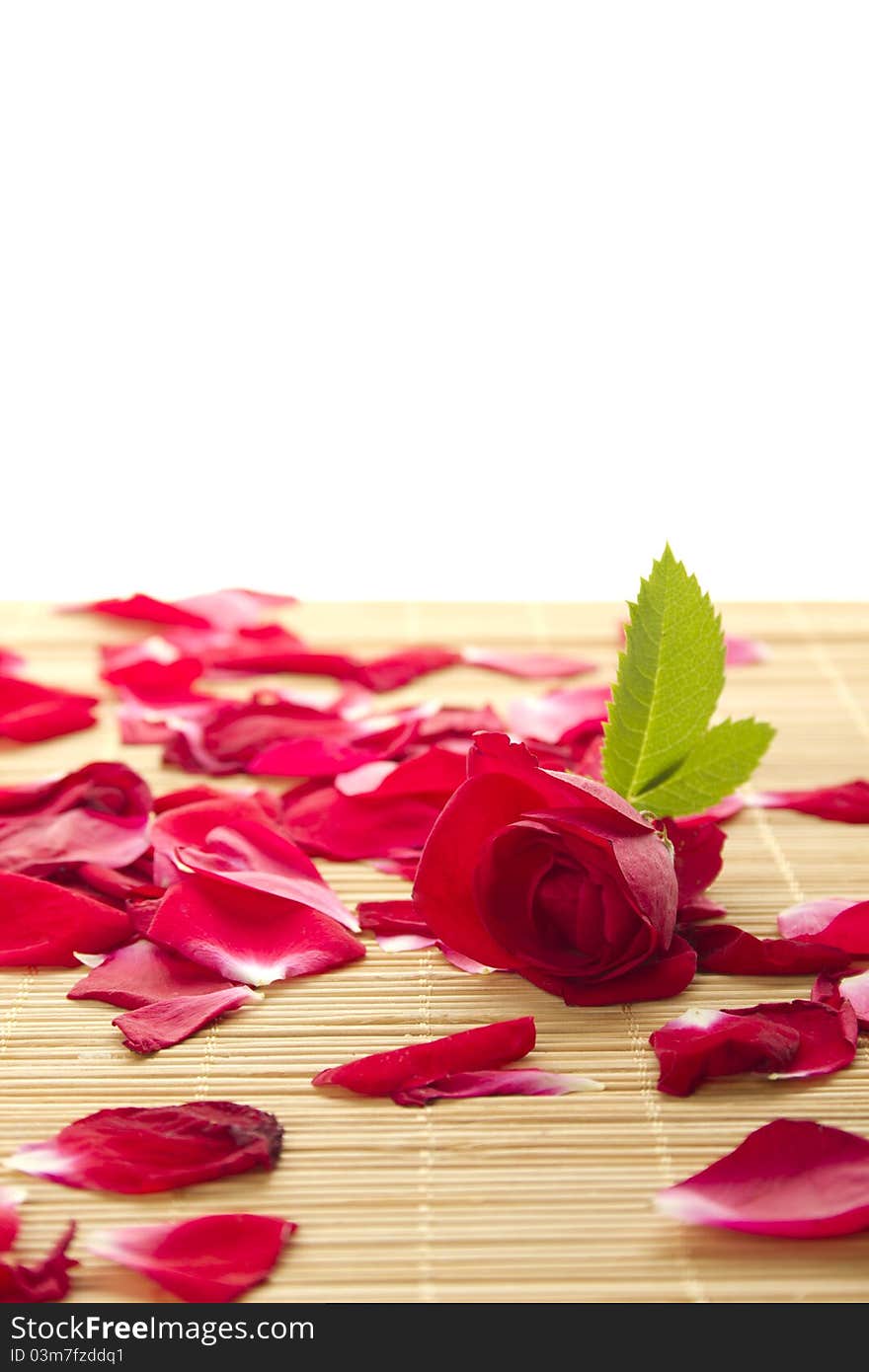 Beautiful red rose petals scattered and on a wooden surface. Isolated. Beautiful red rose petals scattered and on a wooden surface. Isolated