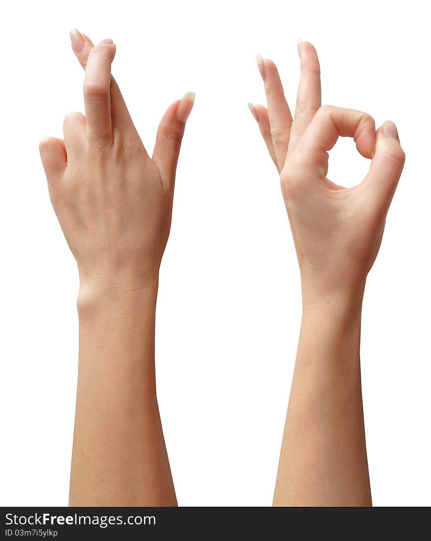 Beautiful female hand on a white background. Beautiful female hand on a white background