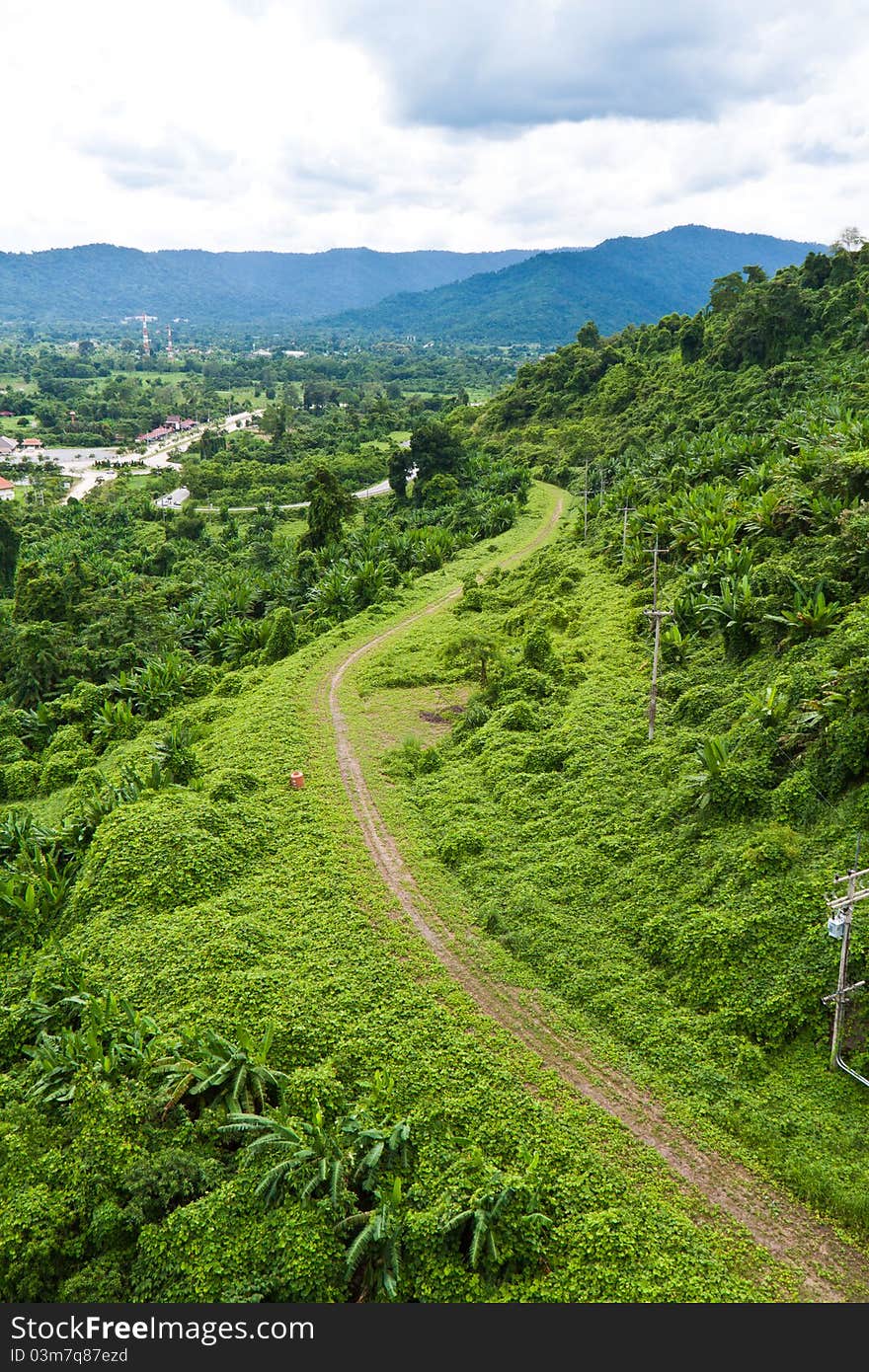 Green Grass Road