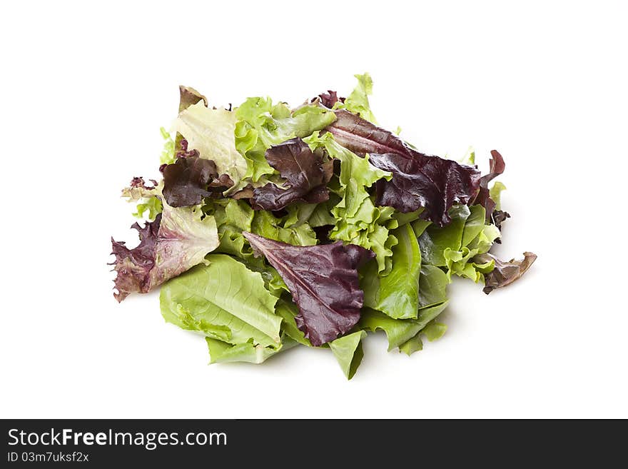 A fresh green salad against a white background