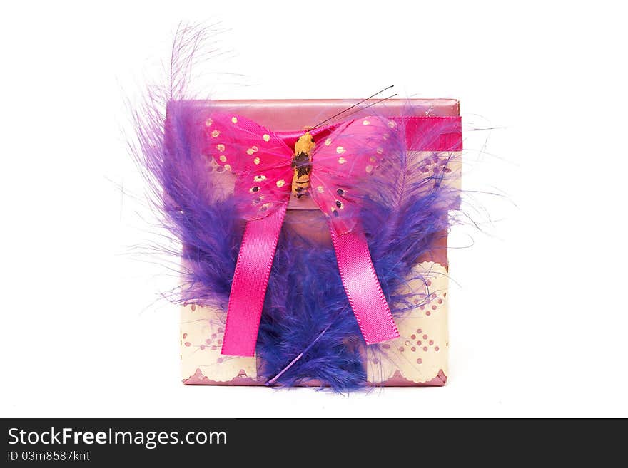 Small gift box with feathers and butterfly