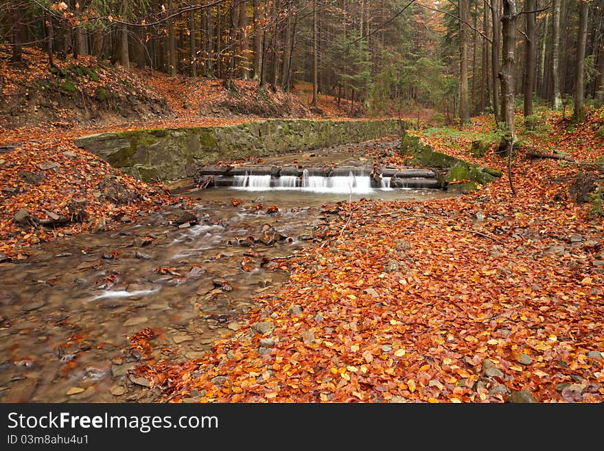 Stream in the autumn woods