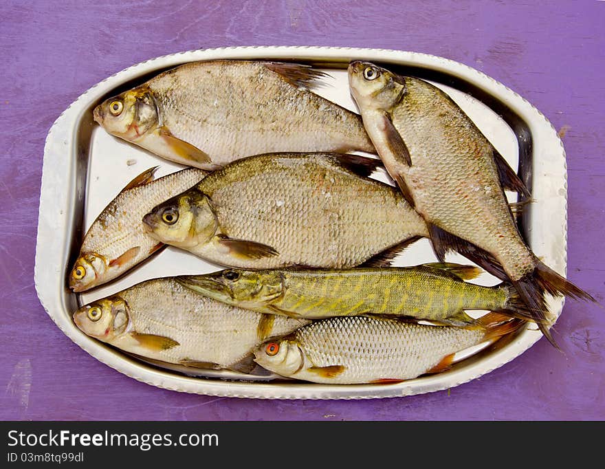 Fresh fishes in the tray after fishing