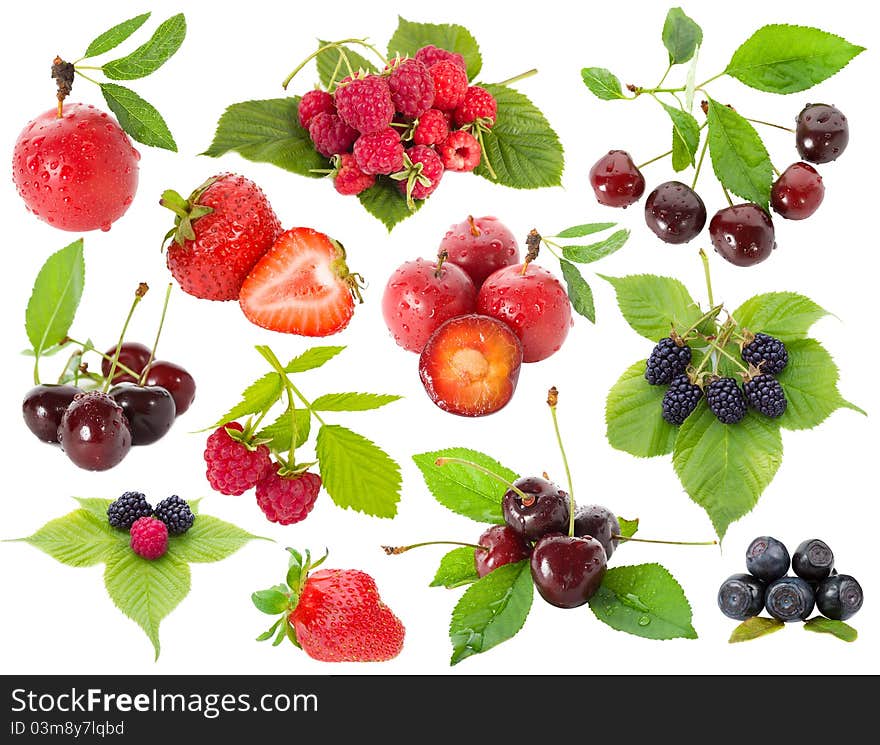 Collection of berries