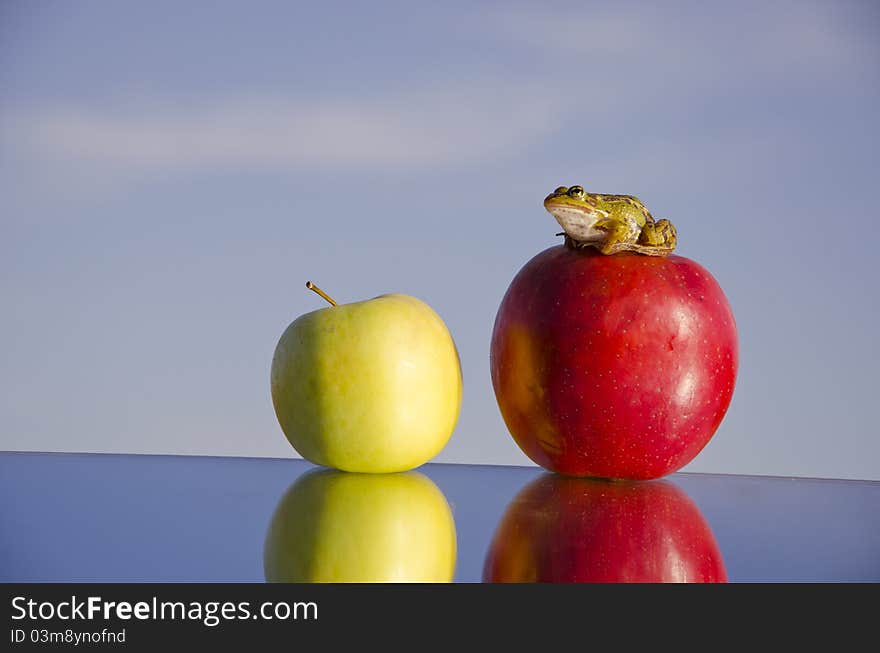 Two apples on mirror and green frog on sky background