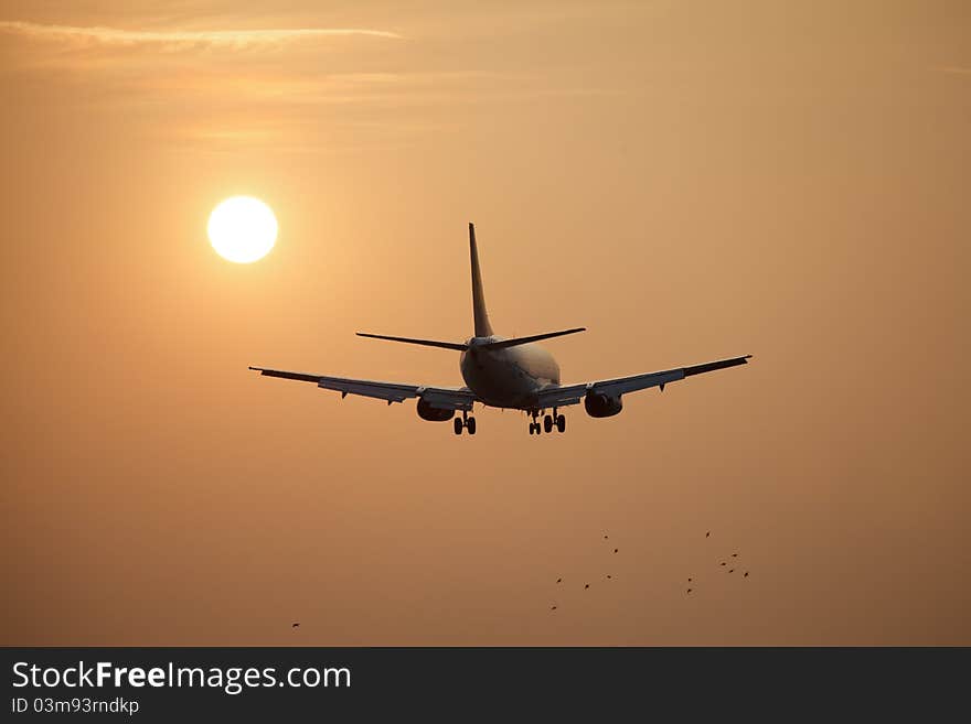 Aircraft with shining sun and birds. Aircraft with shining sun and birds