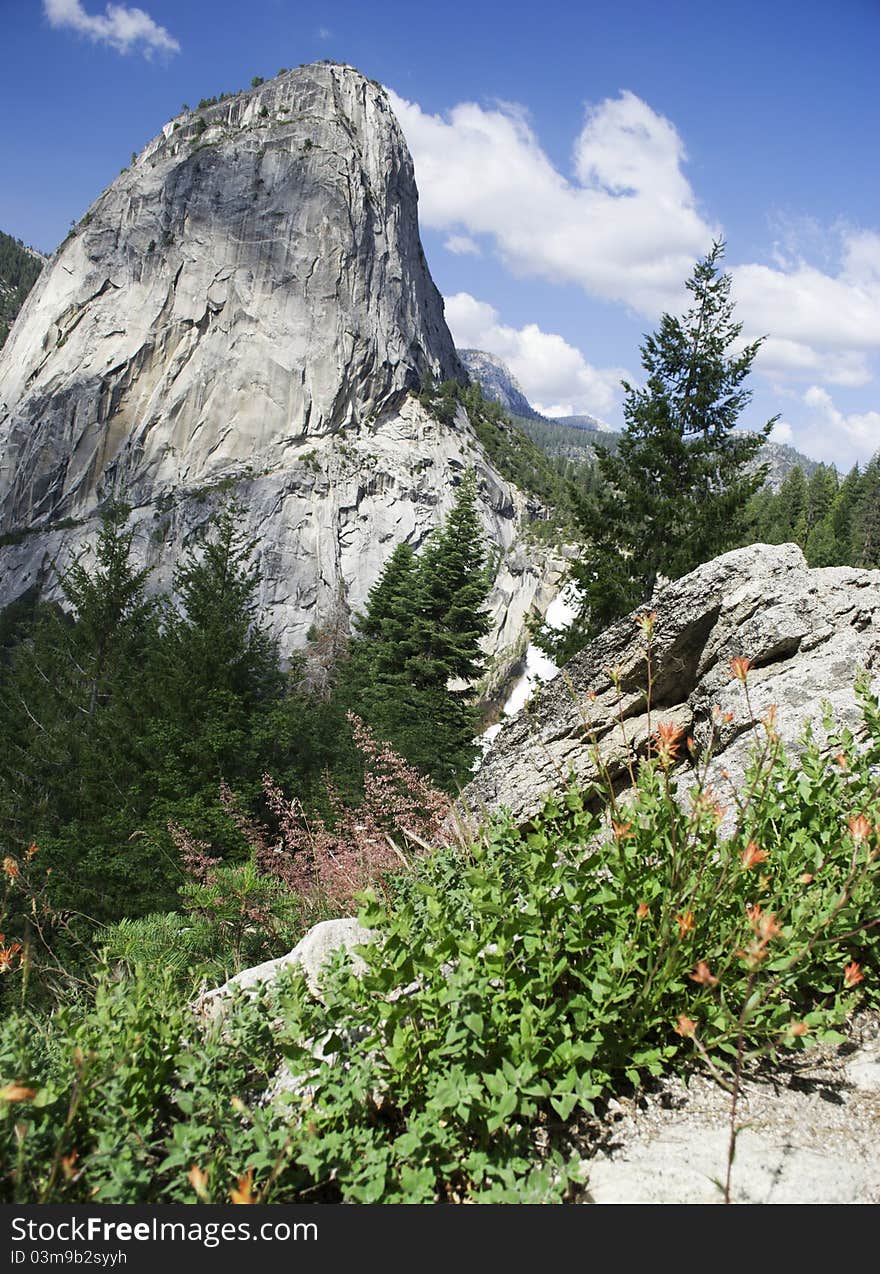 Nevada Falls in Yosemite with wild flowers in the foreground. Nevada Falls in Yosemite with wild flowers in the foreground