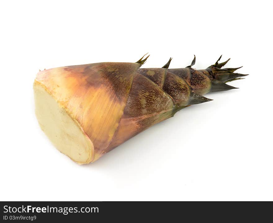 Bamboo Shoot Isolated