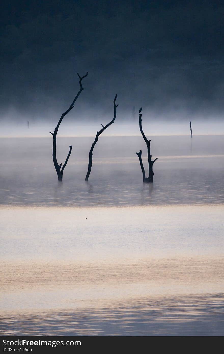 Lake in The morning background