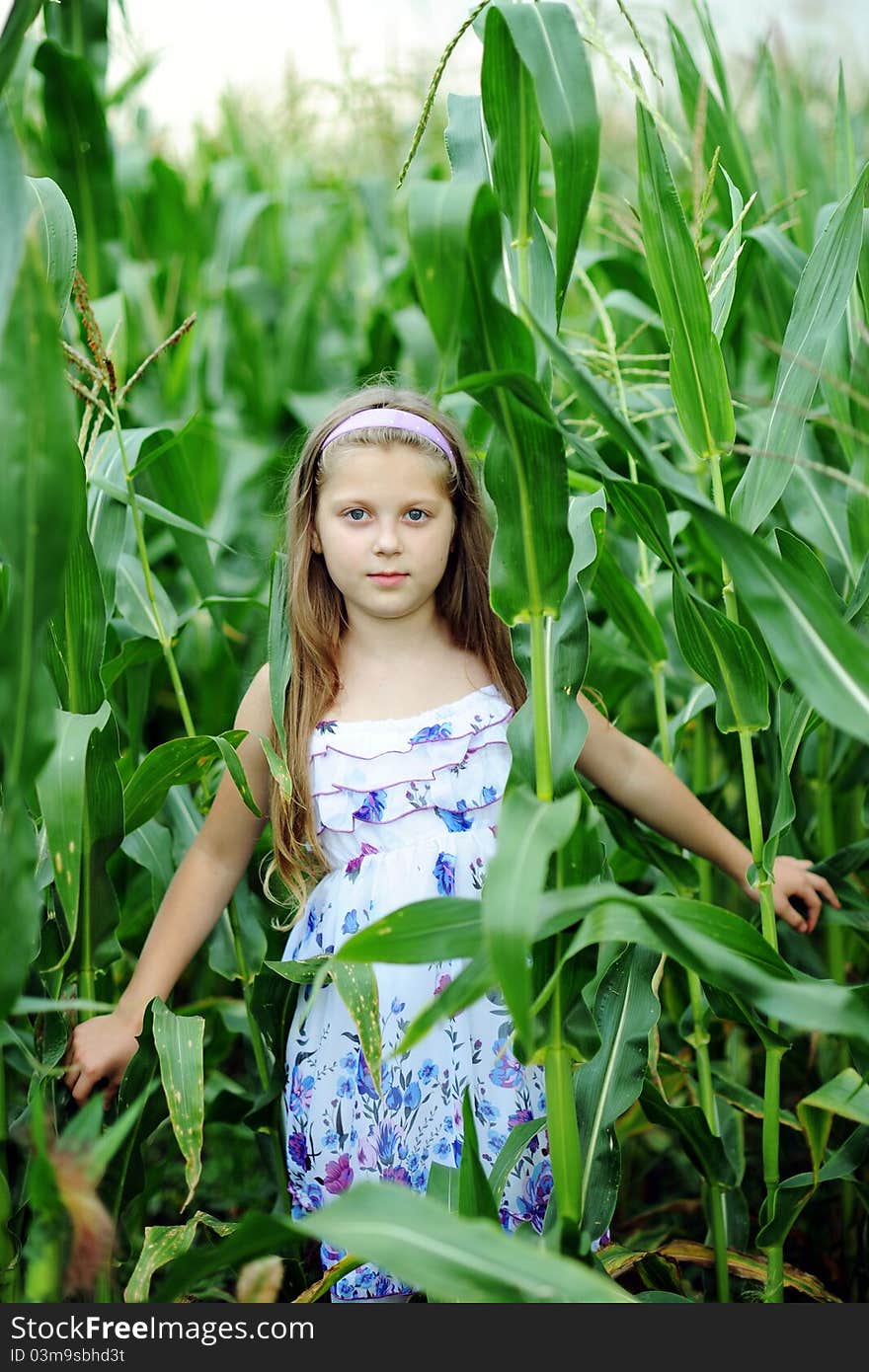 An image of a girl walking in the cornfield