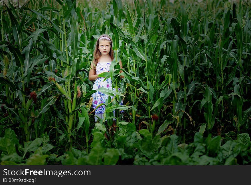 An image of a girl standing in the cornfield