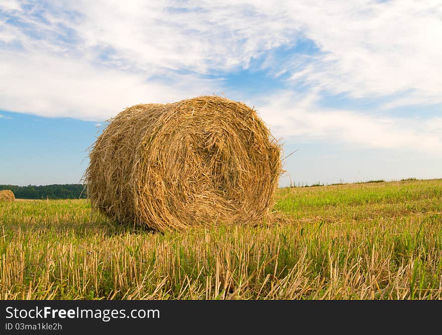 Beautiful stubble field with hay bales by summer.