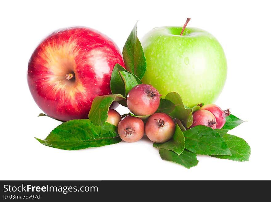 Green and red big apples fruit and branch of small wild apples with leaves on white background