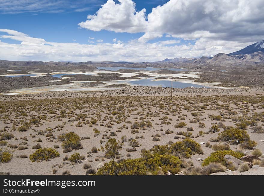 Cotacotani Lake and Parinacota volcano, Lauca National Park, Chile