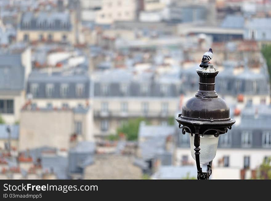 Pigeon on the top of lamp post against the quarter Montmartre. Pigeon on the top of lamp post against the quarter Montmartre