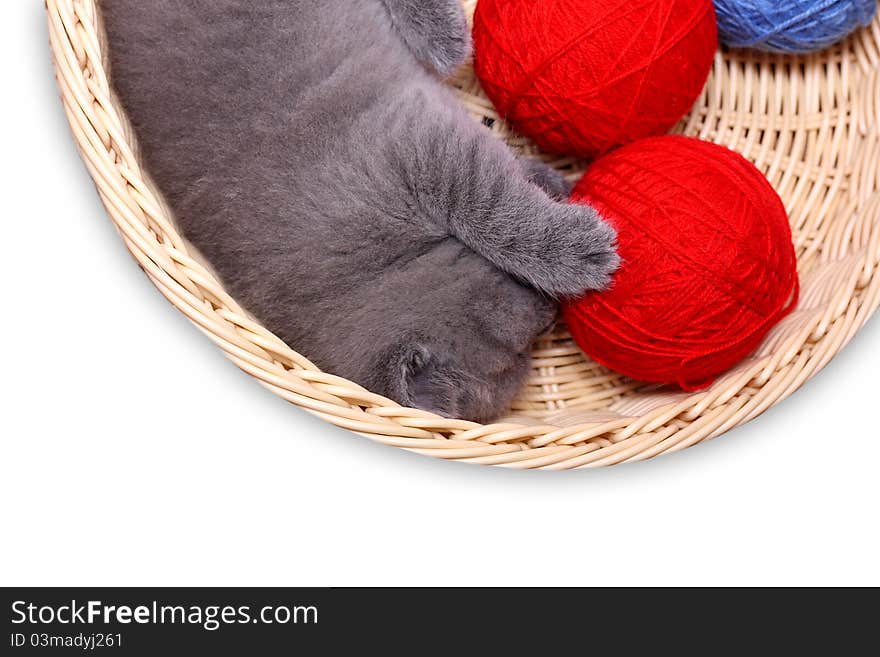 Kitten in straw basket with ball of yarn on a white background