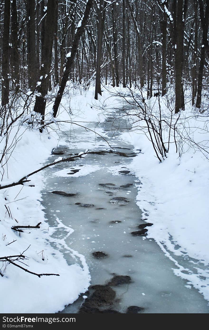 Snowy Creek