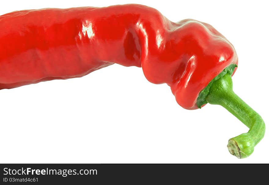 Red pepper on the white background. Space for your text