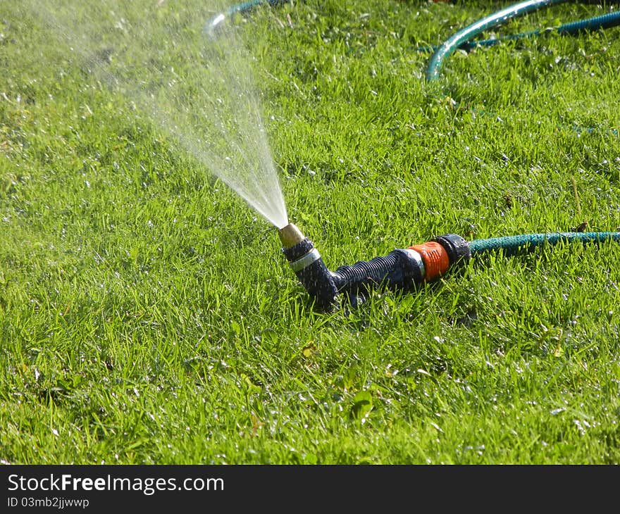 Water sprayer