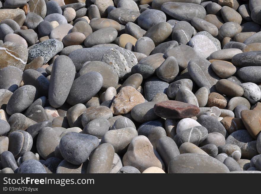 Stony Beach