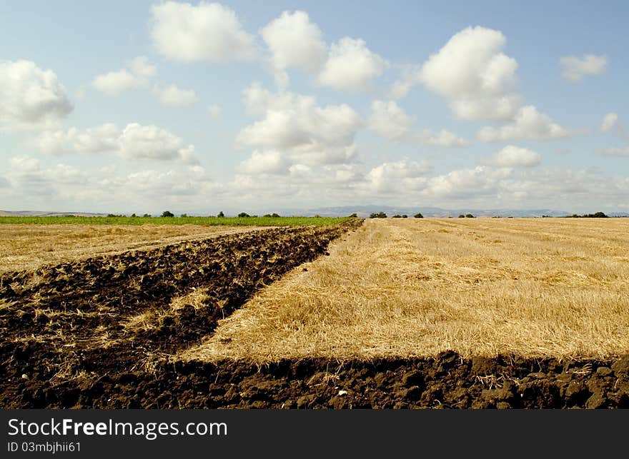 Puglia campaign after the wheat harvest