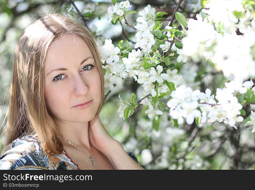 Portrait of beautiful blond in spring blossom. Portrait of beautiful blond in spring blossom