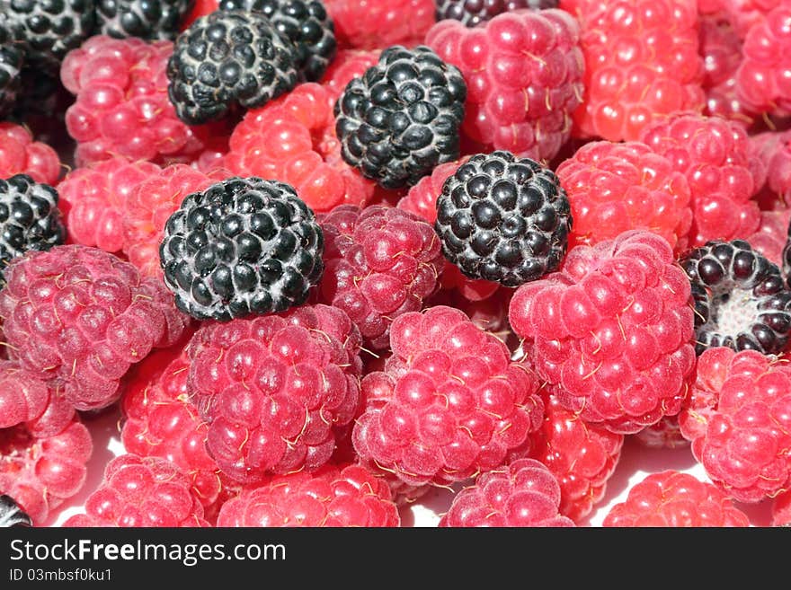 Black and red raspberries