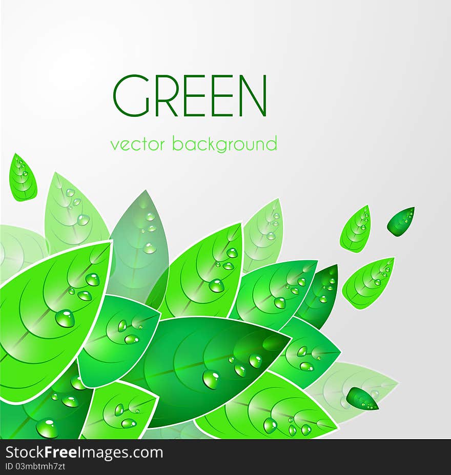 Abstract light background with green leafs. Abstract light background with green leafs