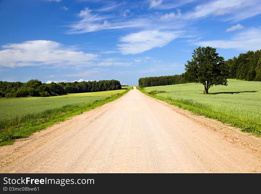 The rural road which is passing along an agricultural field