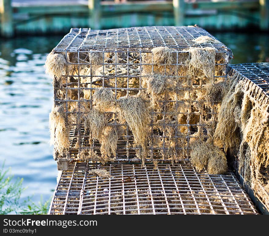 A well used fisherman's crab or lobster trap. A well used fisherman's crab or lobster trap