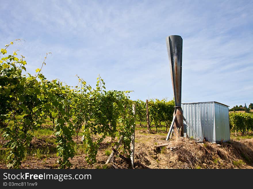 Hail cannon in Italian vineyard, Monferrato and Langhe area, Piemonte region.