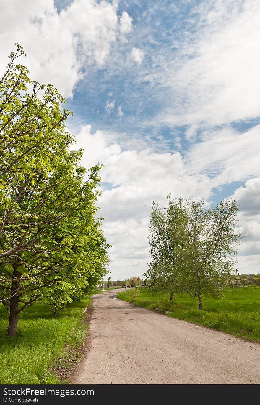 Road in a Ukrainian Village