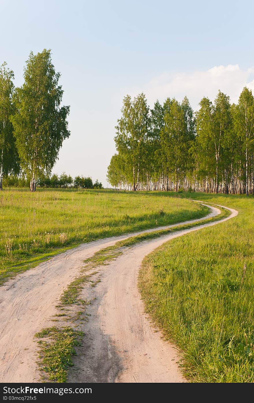 Country road in the foerst