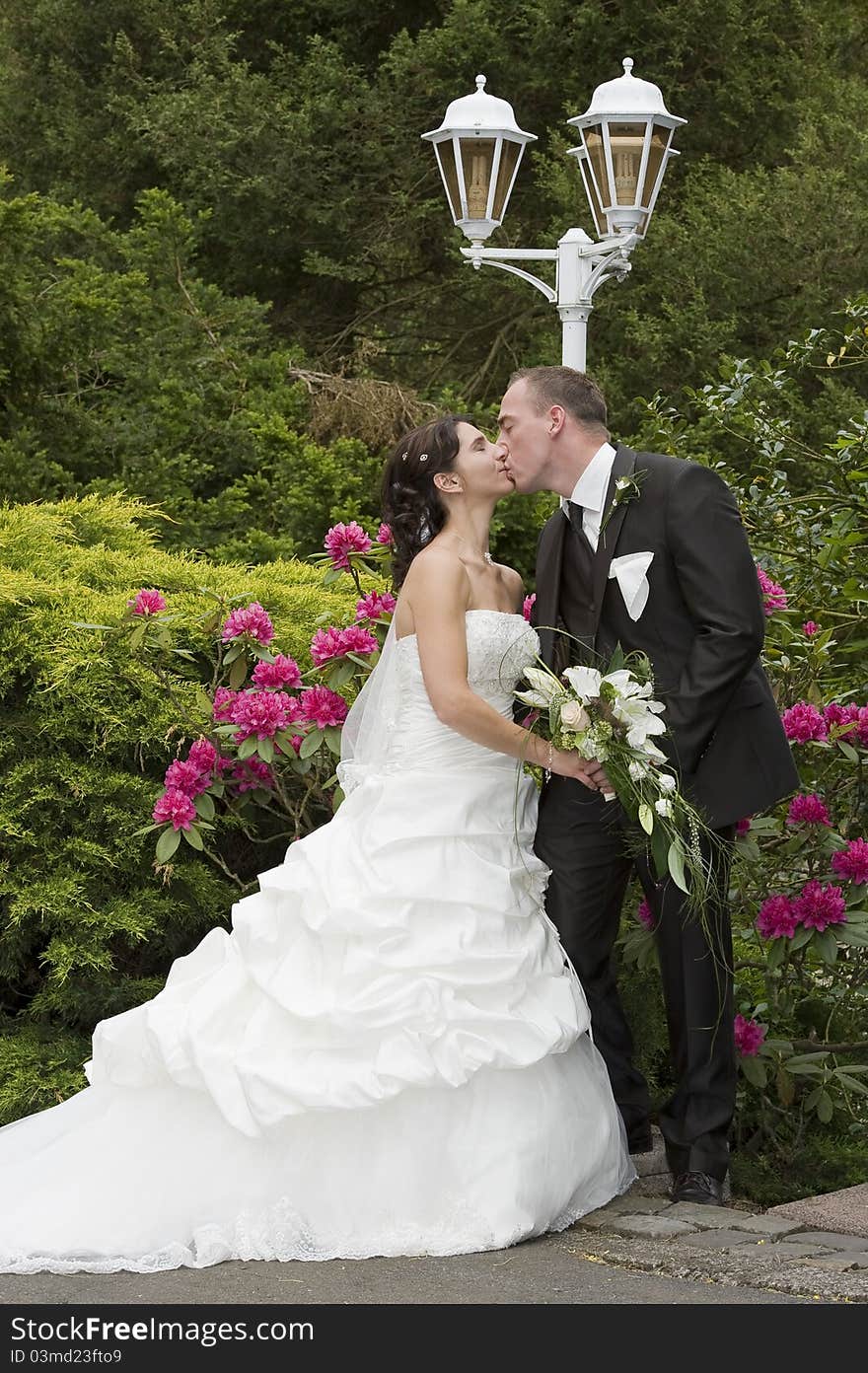 A couple after the wedding ceremony