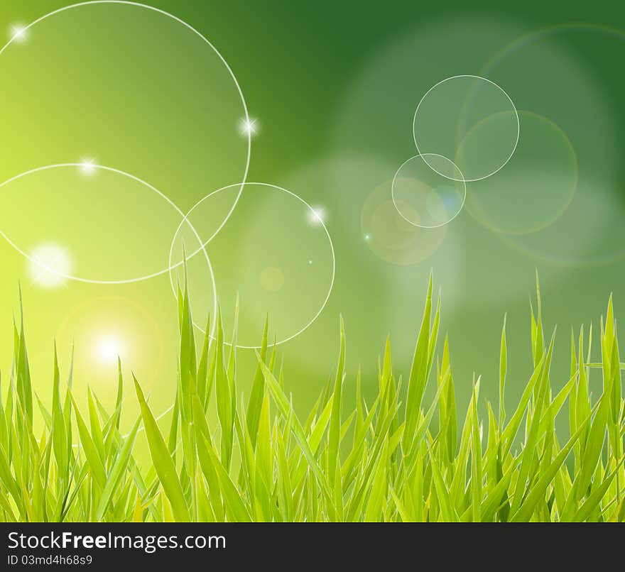 The grass on green background