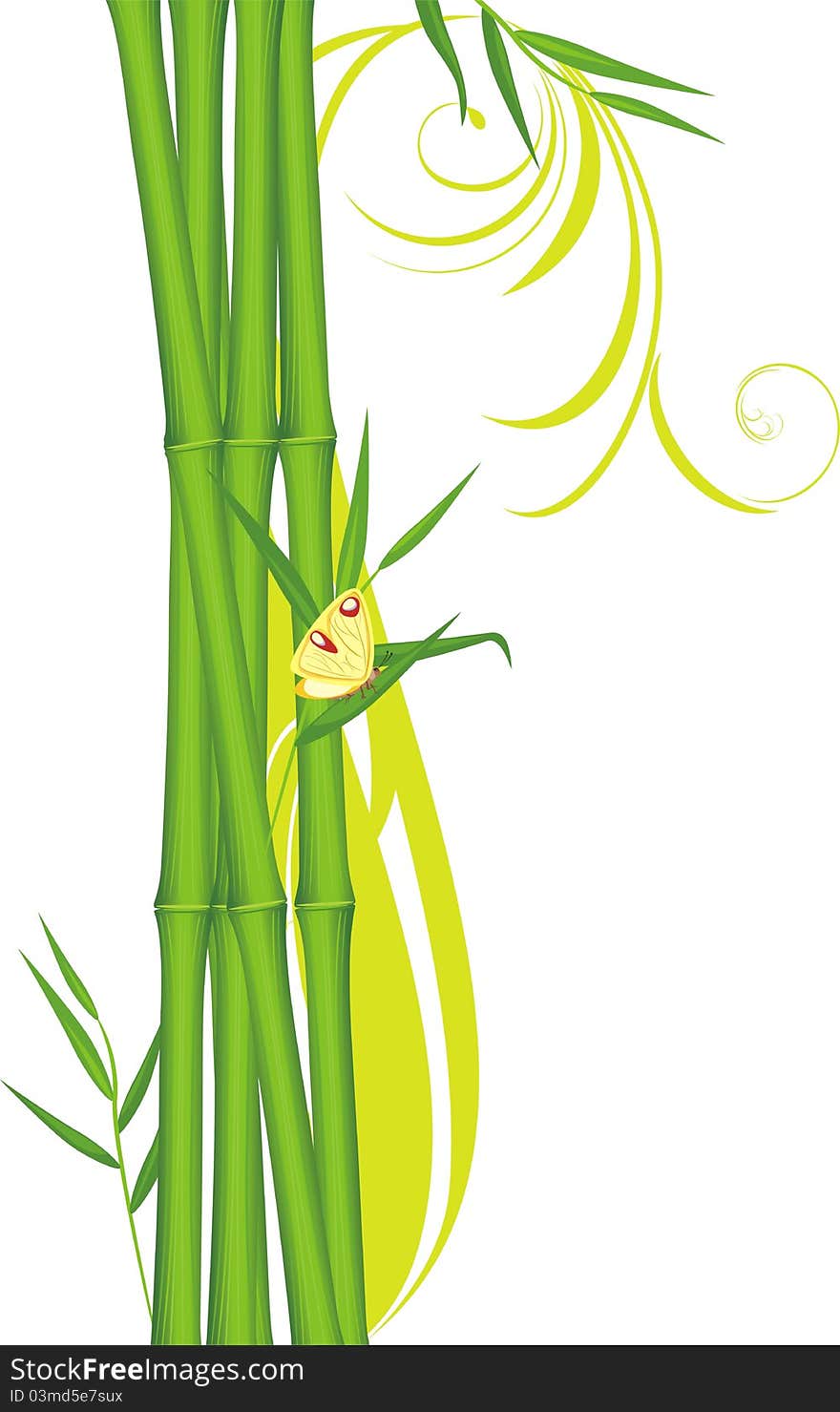 Green bamboo with butterfly