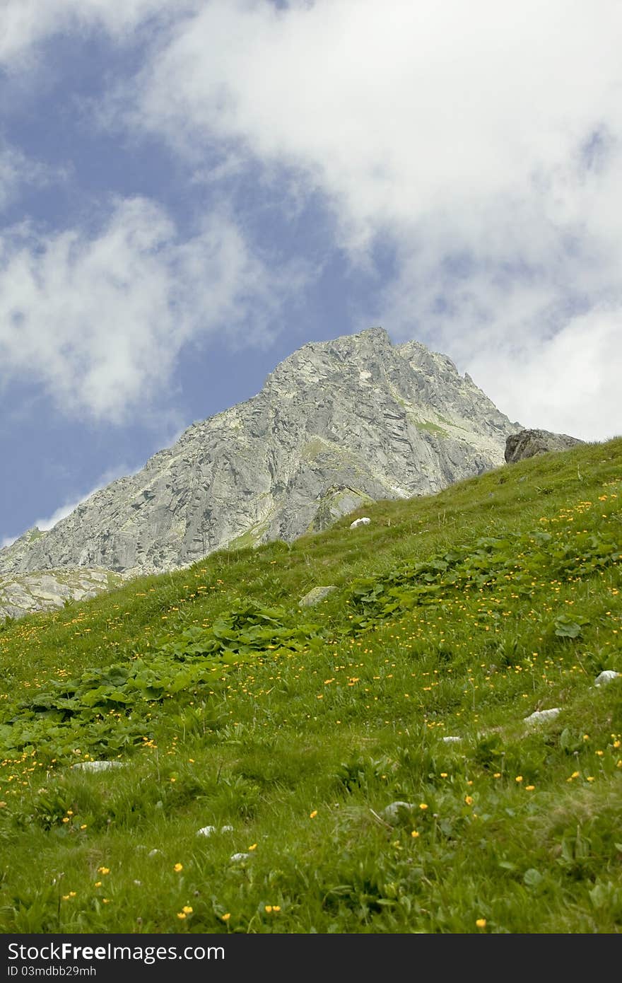 Green meadow below the mountain peak. Photo taken in Slovak High Tatras National Park (Vysoke Tatry). Green meadow below the mountain peak. Photo taken in Slovak High Tatras National Park (Vysoke Tatry).