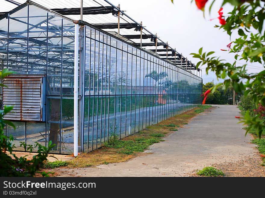 Exterior of a glass greenhouse,China. Exterior of a glass greenhouse,China.