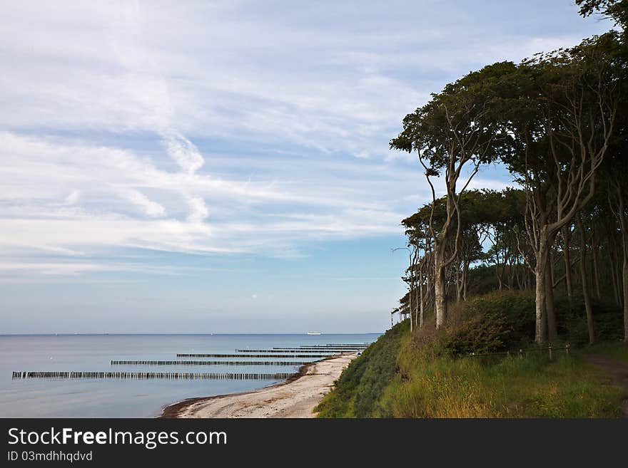 Baltic Sea coast