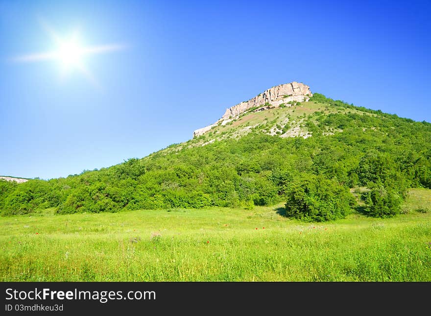 Green meadow on the sunset. Composition of nature.