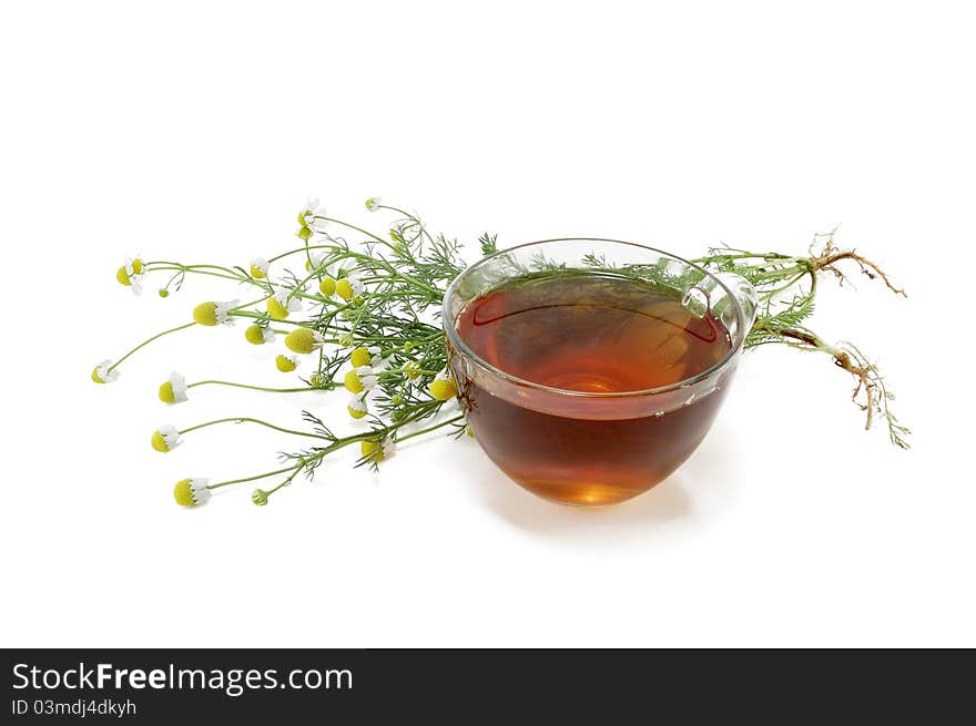 Medical tea with camomiles on a white background. Medical tea with camomiles on a white background