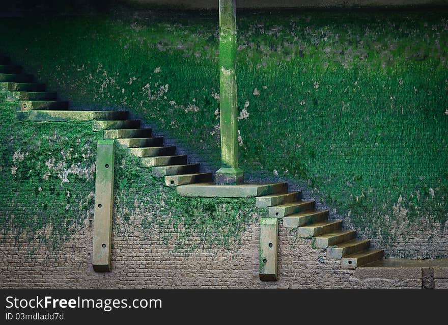 Old stairs covered with green vegetation