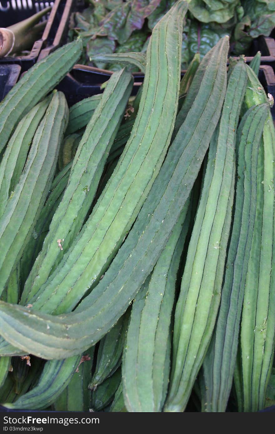 Luffa Squash