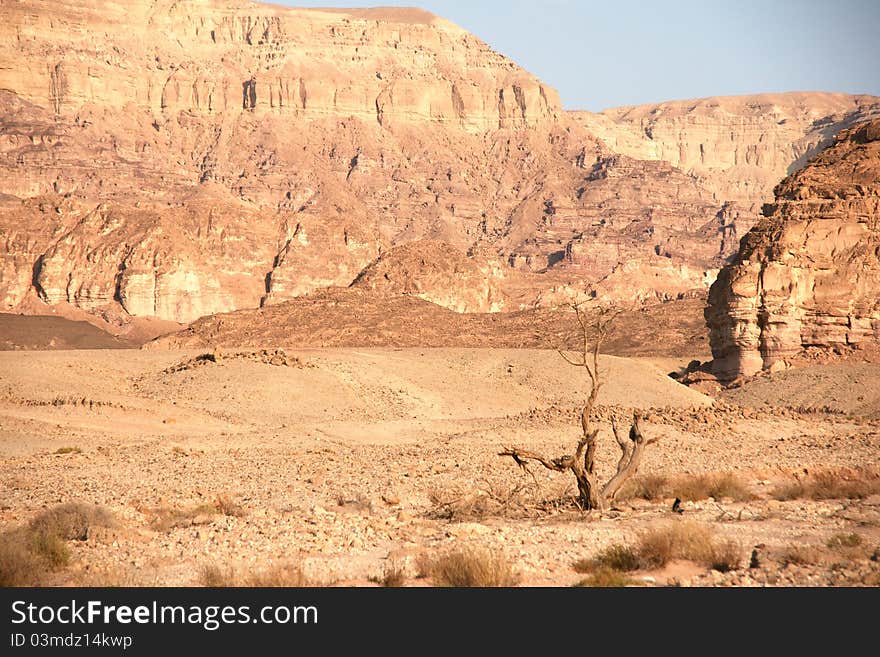 Travel in Arava desert