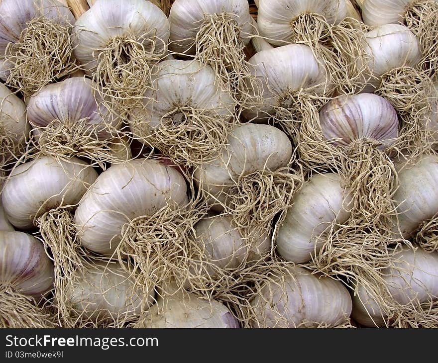 Amount of garlic bulbs lying one on another